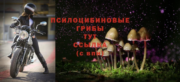 марки lsd Балахна