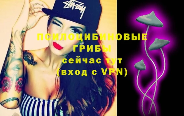 дмт Баксан